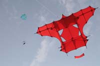 kites_020