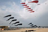 kites_021
