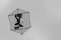 kites_023