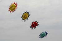 kites_028