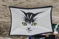 kites_029