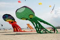 kites_038