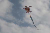 kites_041