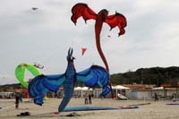 kites_042