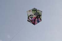 kites_045