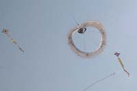 kites_049