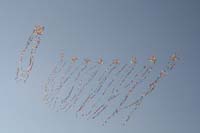 kites_050