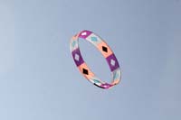 kites_051
