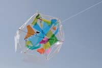 kites_053