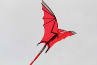 die Drachen