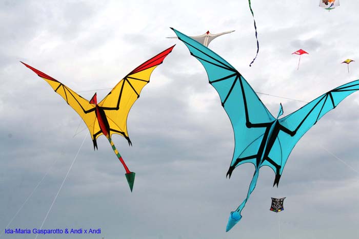 Cervia 2014 259