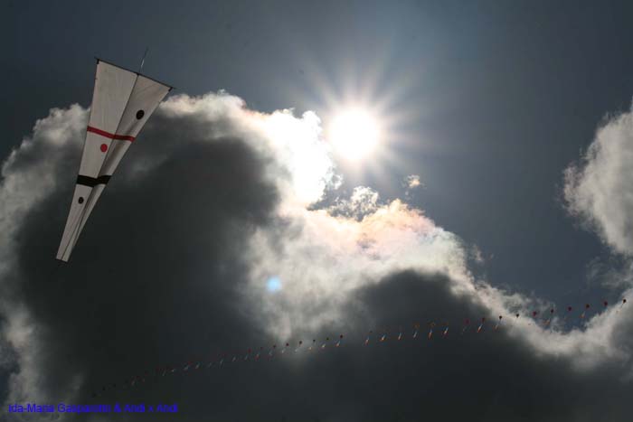 Cervia 2014 484