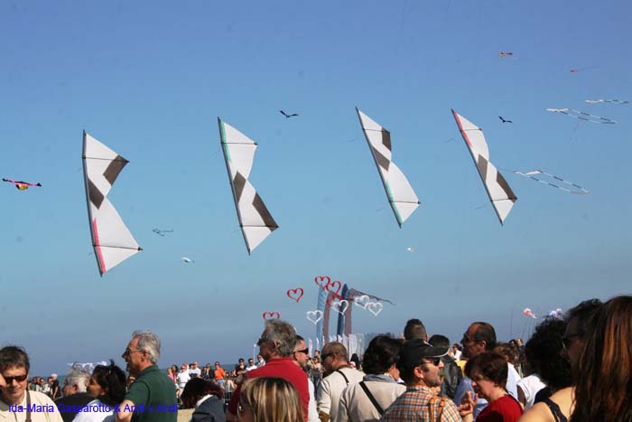 Cervia 2014 726