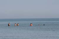 Cervia
                  2014 084