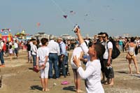 Cervia
                  2014 089