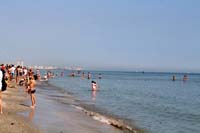 Cervia
                  2014 091