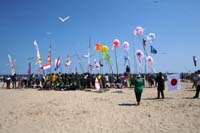 Cervia
                  2014 147