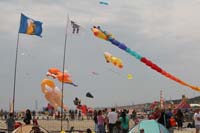 Cervia
                  2014 243