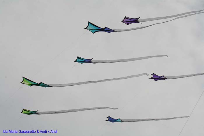 Cervia 2014 028