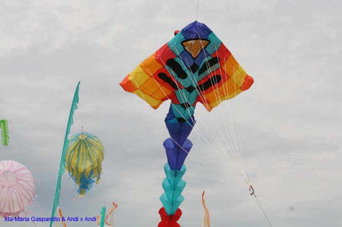 Cervia 2014 226