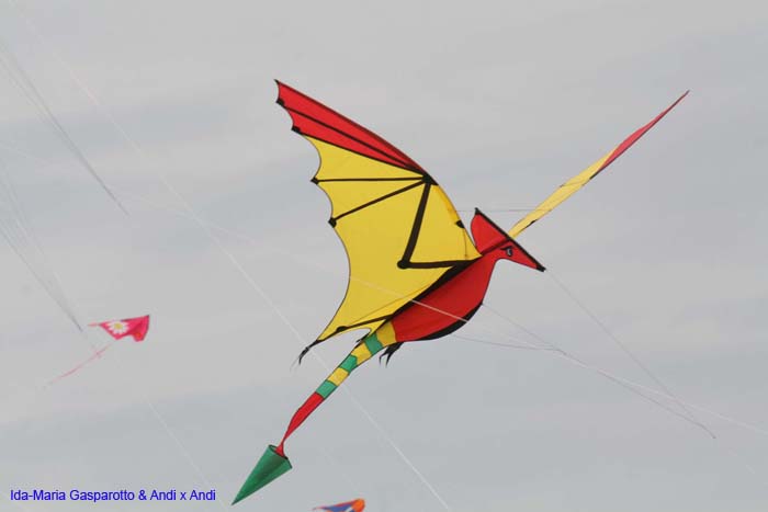 Cervia 2014 247