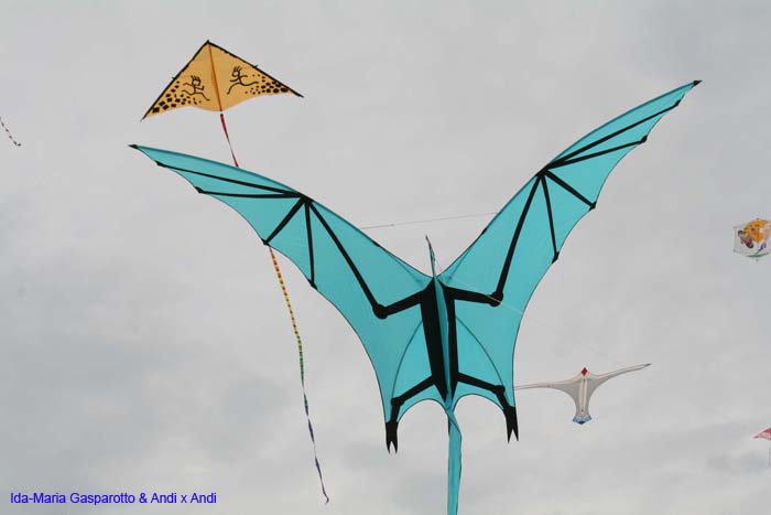 Cervia 2014 262