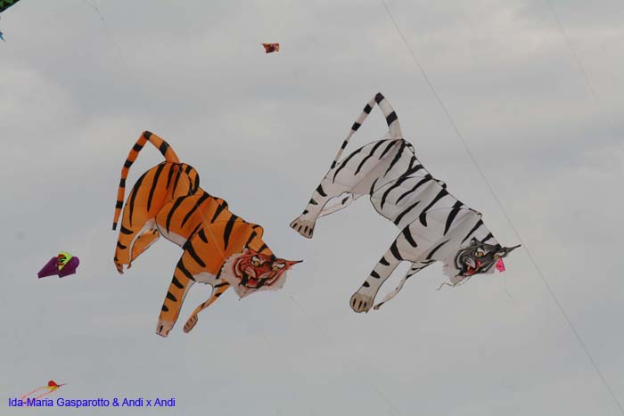 Cervia 2014 322