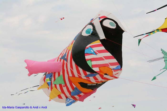 Cervia 2014 325