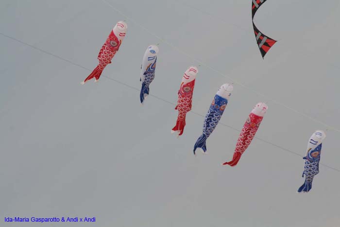 Cervia 2014 381