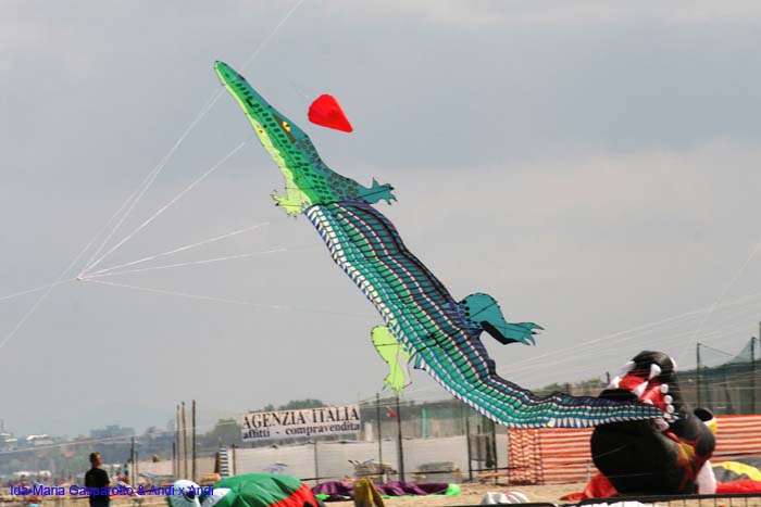 Cervia 2014 423