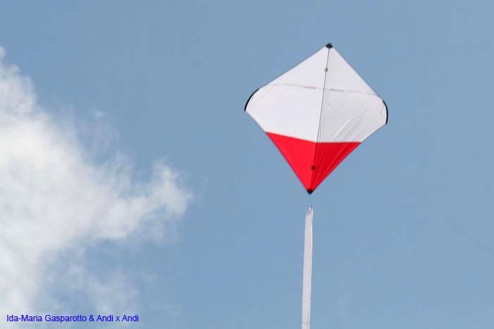 Cervia 2014 486