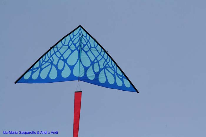 Cervia 2014 487