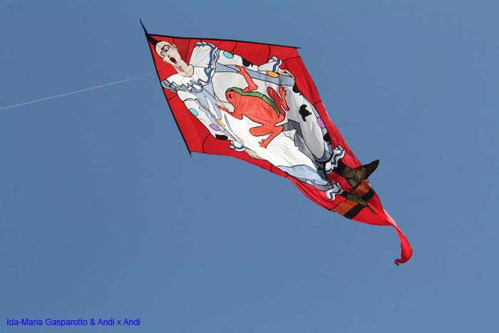 Cervia 2014 491