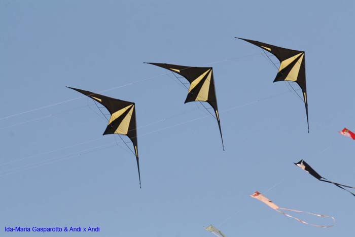 Cervia 2014 503
