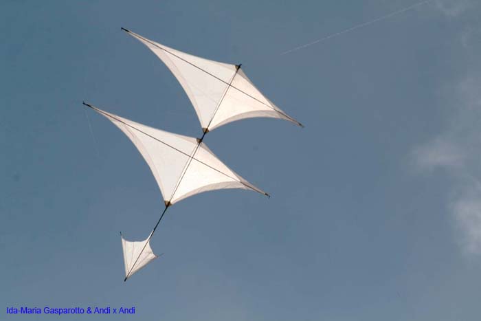 Cervia 2014 509