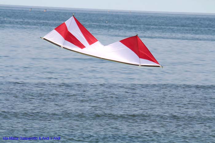 Cervia 2014 573
