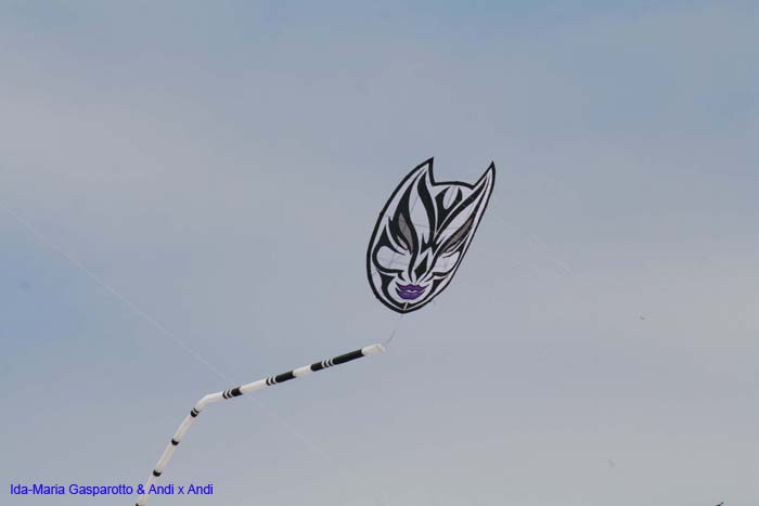 Cervia 2014 603