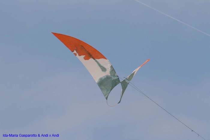 Cervia 2014 604