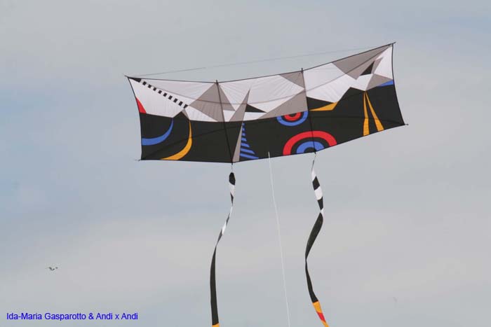 Cervia 2014 610