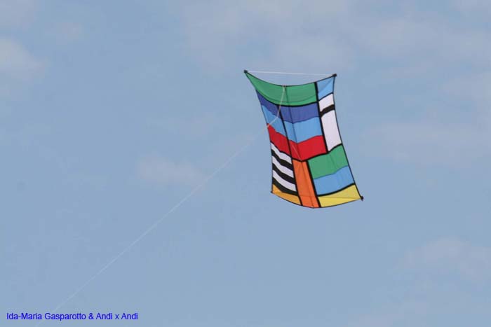 Cervia 2014 611