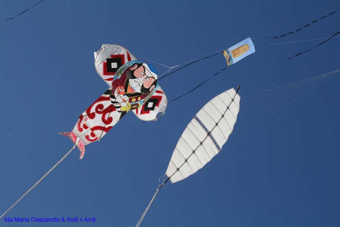 Cervia 2014 747