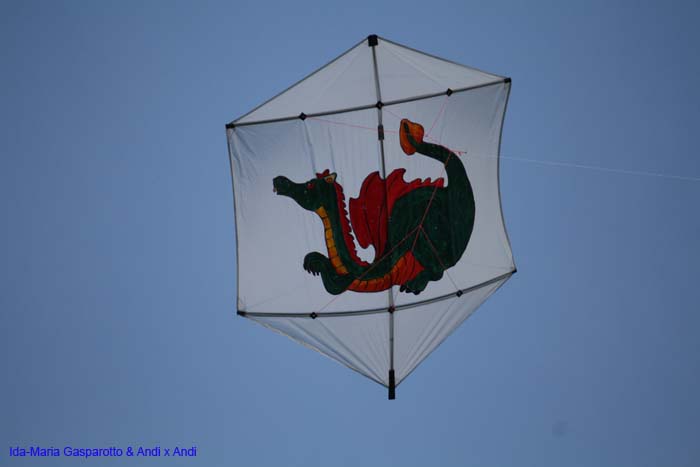 Cervia 2014 823