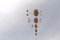 Cervia
                  2014 058