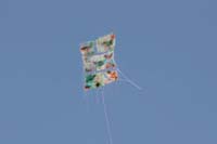 Cervia
                  2014 081