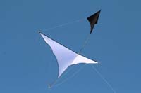 Cervia
                  2014 083