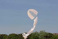 Cervia
                  2014 092