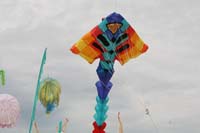 Cervia
                  2014 226