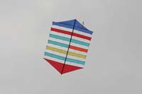 Cervia
                  2014 231