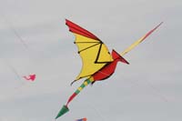 Cervia
                  2014 247