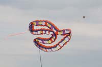Cervia
                  2014 251